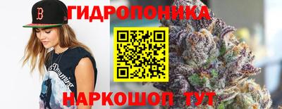 эйфоретик Гусь-Хрустальный