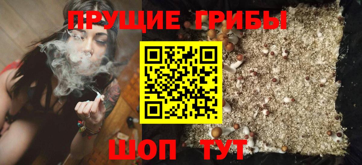 Псилоцибиновые грибы Psilocybe  Вход с VPN  Можайск 